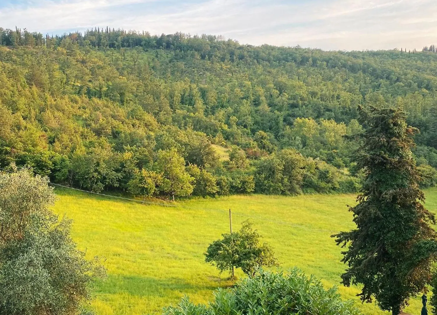 Tenuta Di San Giusto In Salcio Gaiole in Chianti Quarto em Acomodações Particulares